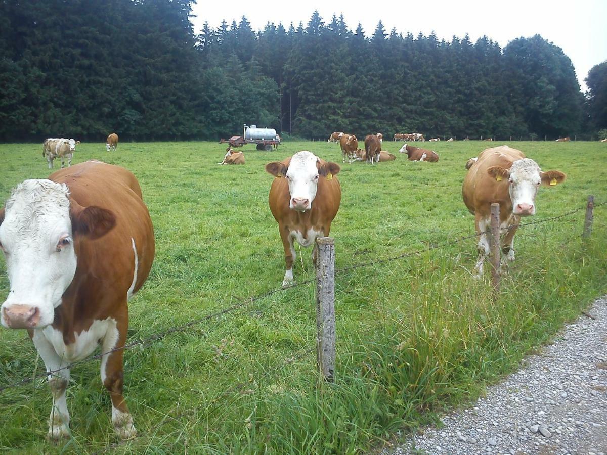 Ferienwohnung Auf Dem Lechsberg Fuchstal Kültér fotó